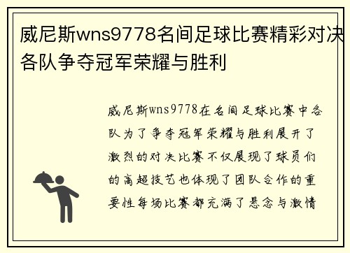 威尼斯wns9778名间足球比赛精彩对决各队争夺冠军荣耀与胜利