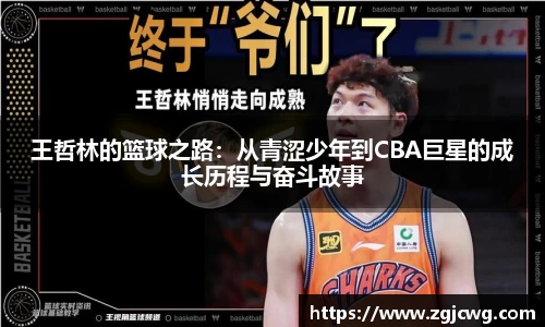 XCsport体育登录