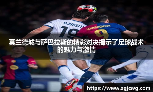 xc体育官方网站入口